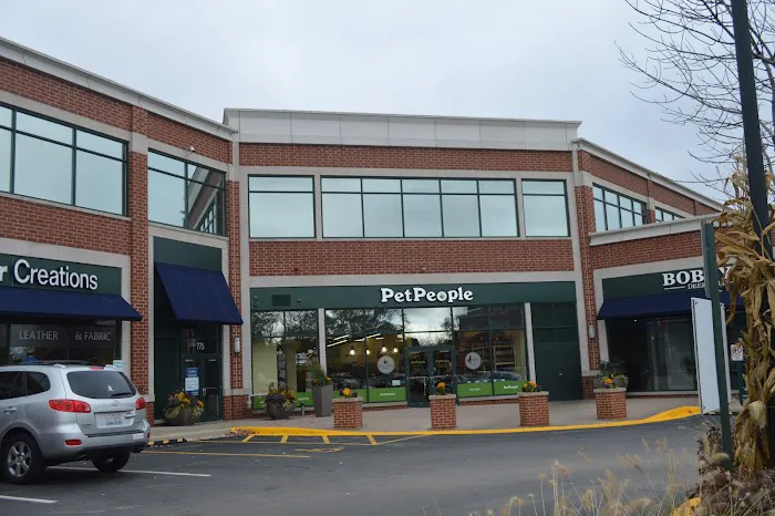 Hollywood Feed Picture 8