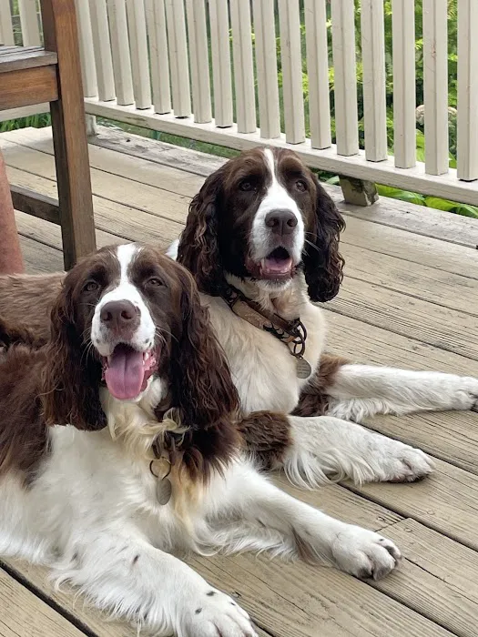 Abbott Animal Hospital Picture 3