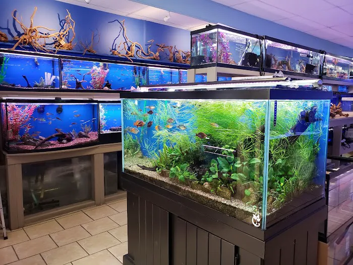 Fish Planet Picture 1