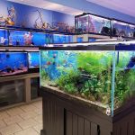 Fish Planet