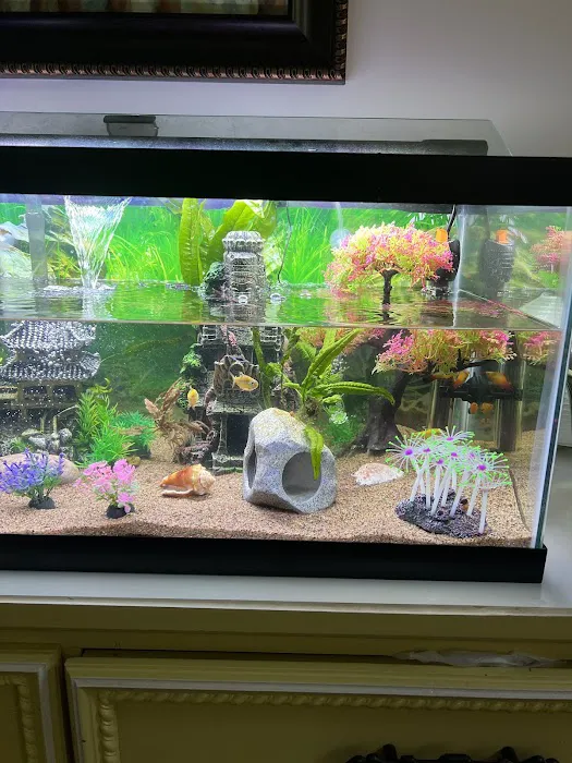 Fish Planet Picture 3