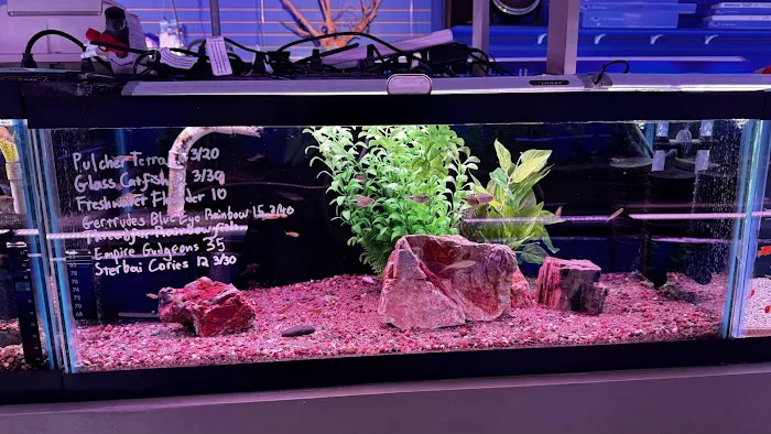 Fish Planet Picture 2