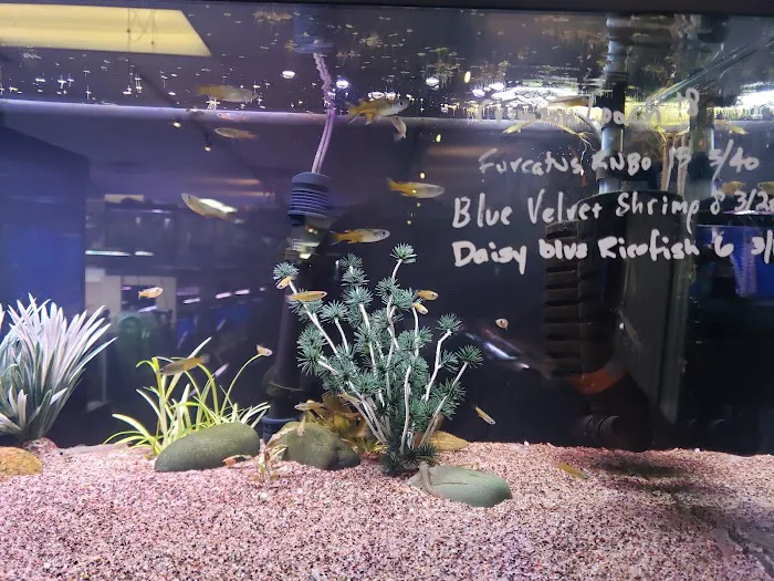 Fish Planet Picture 9