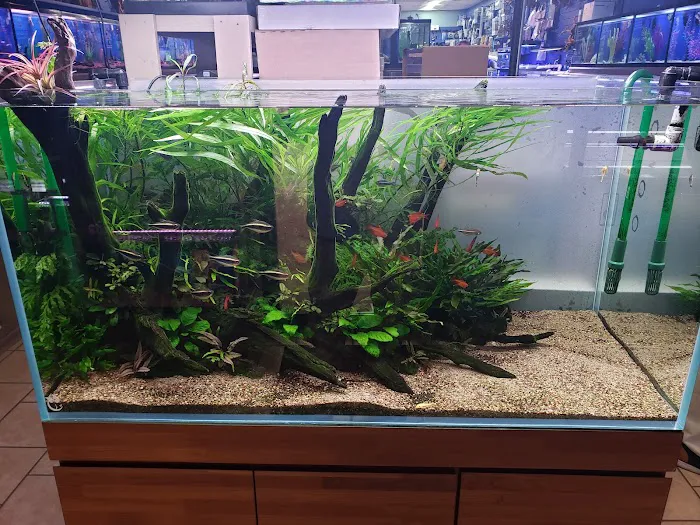 Fish Planet Picture 10