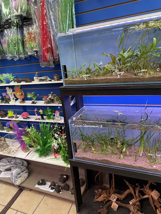 Fish Planet Picture 8