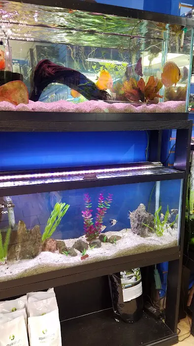 Fish Planet Picture 4