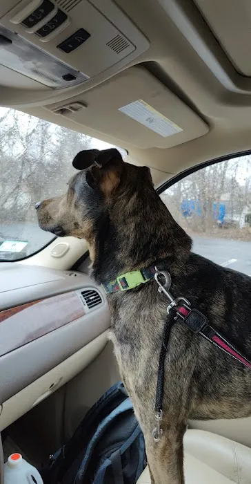 Bristol County Veterinary Hospital Picture 3