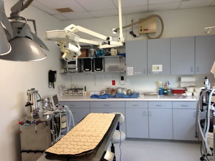 Bristol County Veterinary Hospital Picture 10