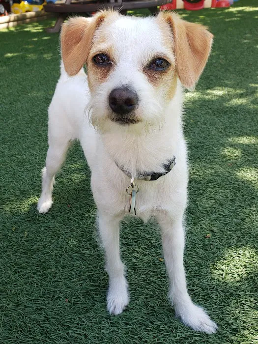 Bristol County Veterinary Hospital Picture 4