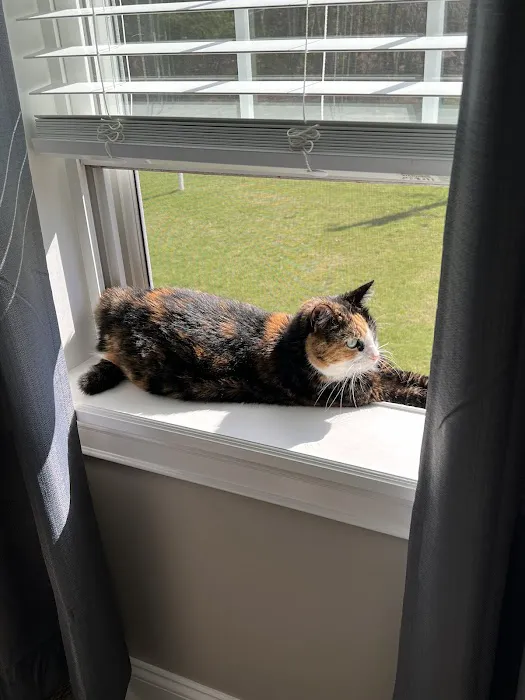 Bristol County Veterinary Hospital Picture 1