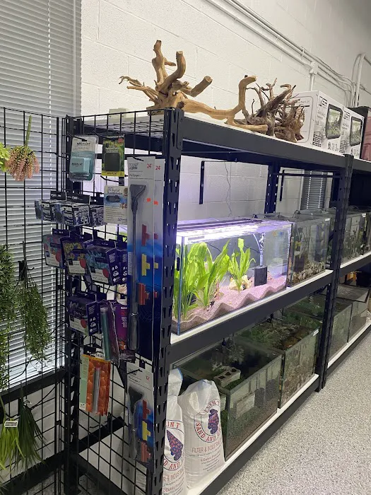 Marine Concepts Inc. Picture 5