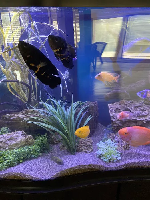 Marine Concepts Inc. Picture 1