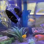 Marine Concepts Inc.