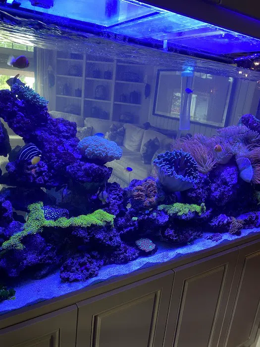 Marine Concepts Inc. Picture 6