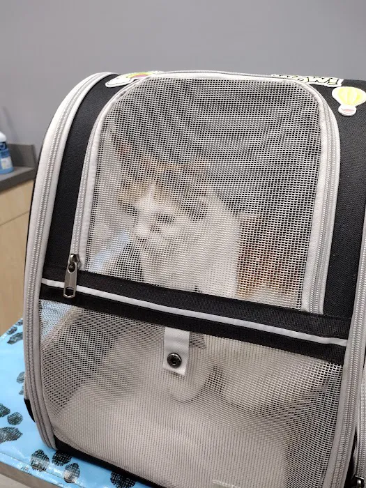Vitality Veterinary of Swansea Picture 10