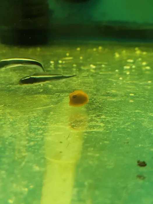 Mermaid's Cove Picture 1