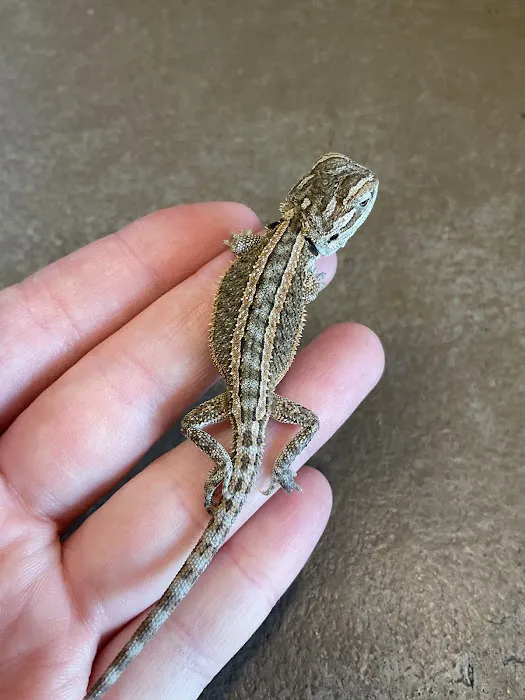 3 Rivers Pets Picture 6