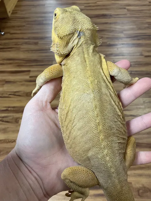 3 Rivers Pets Picture 3