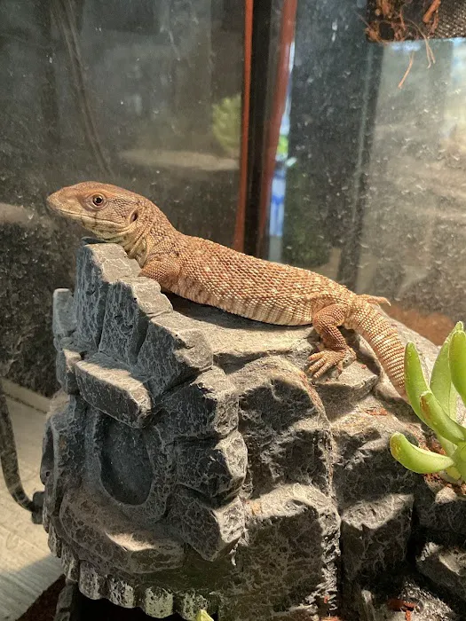 3 Rivers Pets Picture 2