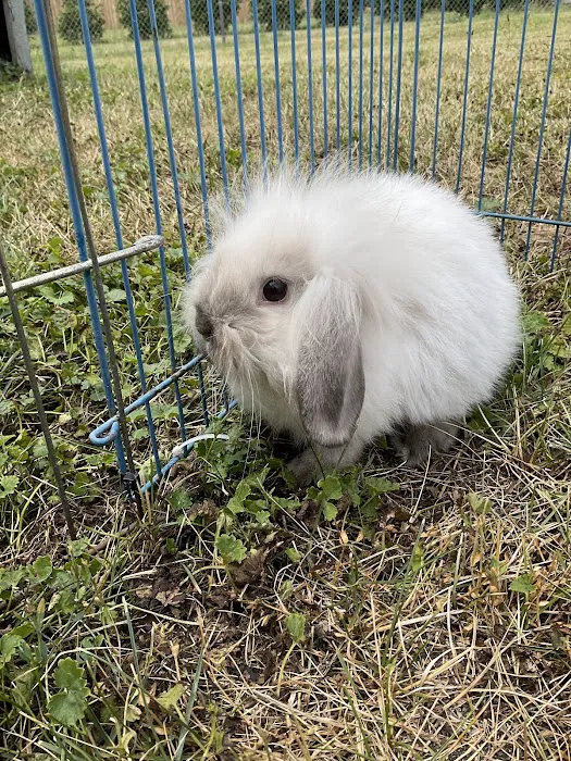 3 Rivers Pets Picture 8