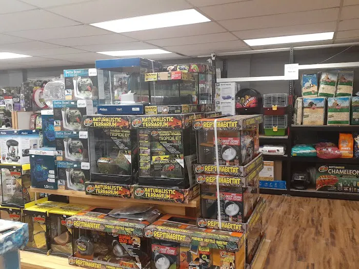 3 Rivers Pets Picture 10