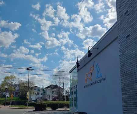 Ferguson Animal Hospital