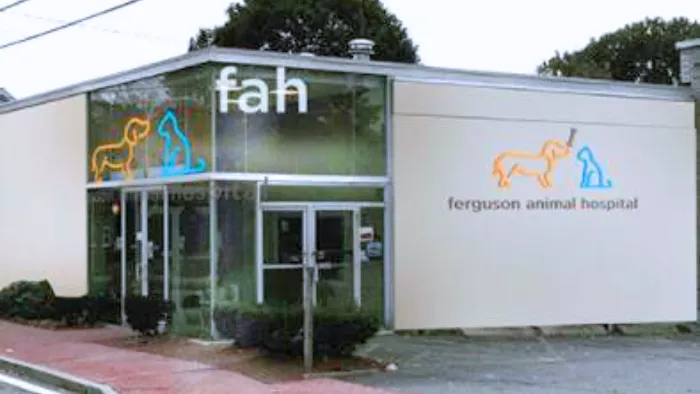 Ferguson Animal Hospital Picture 10