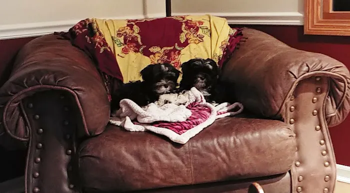 Raw Pet Products Picture 2