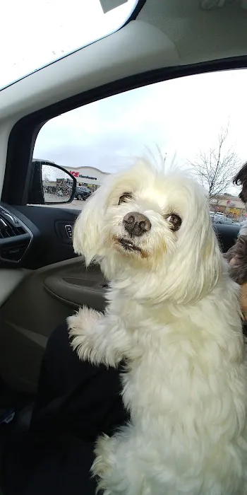 Raw Pet Products Picture 9