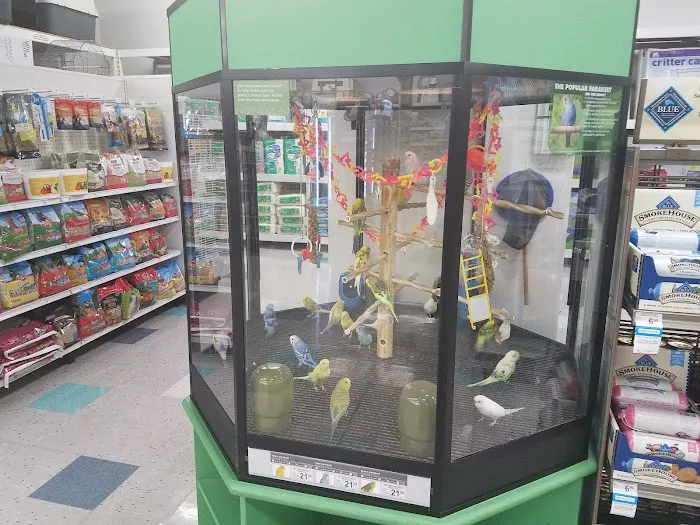 Petco Picture 1