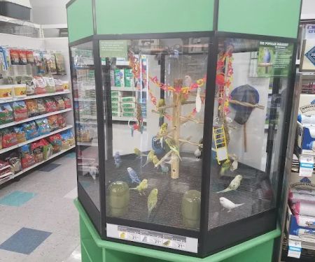 Petco