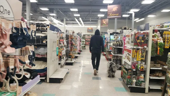 Petco Picture 3