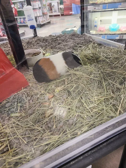 Petco Picture 9