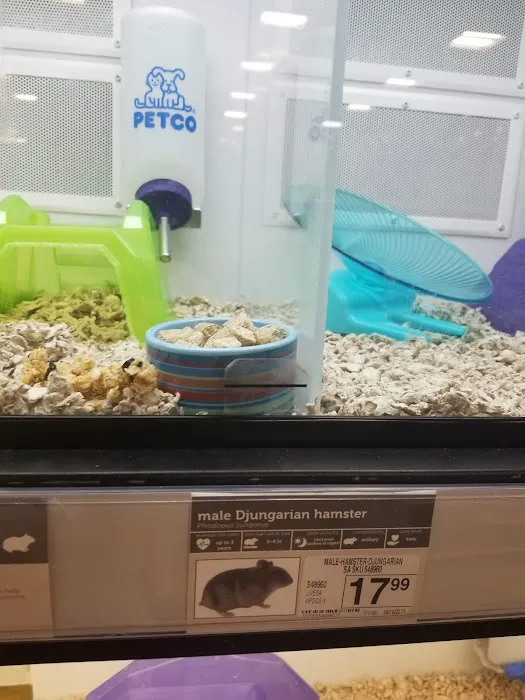 Petco Picture 8