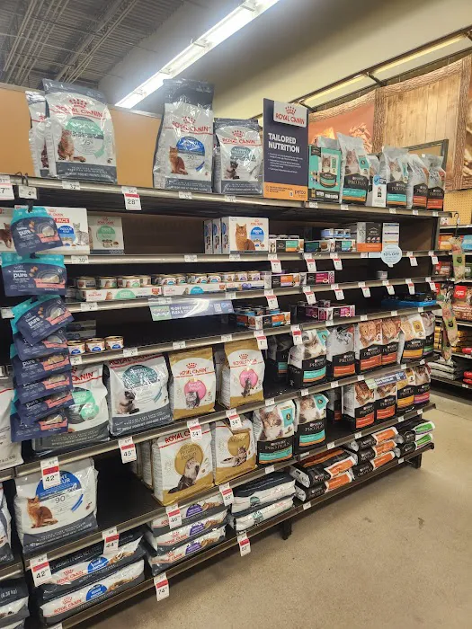 Petco Picture 5