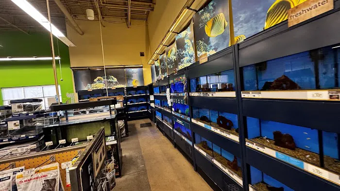 Petco Picture 7