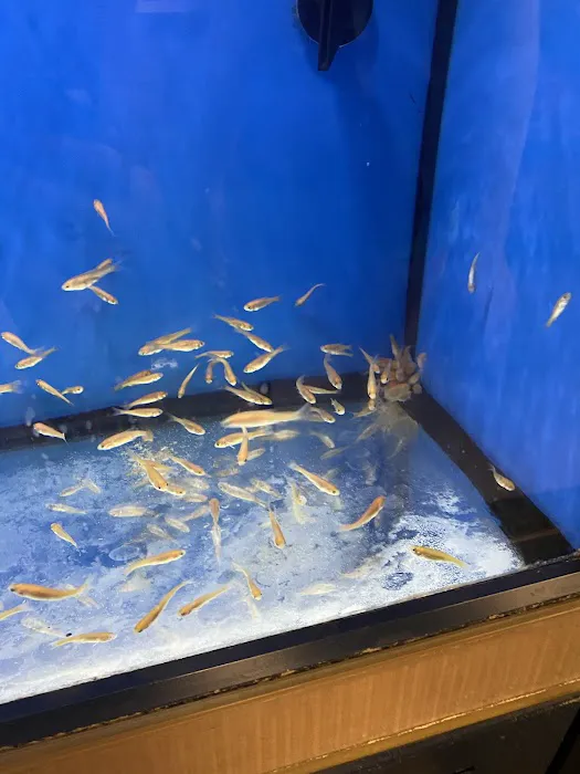 Petco Picture 6