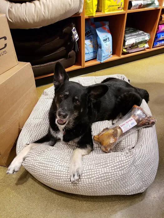 Kriser's Natural Pet Picture 2