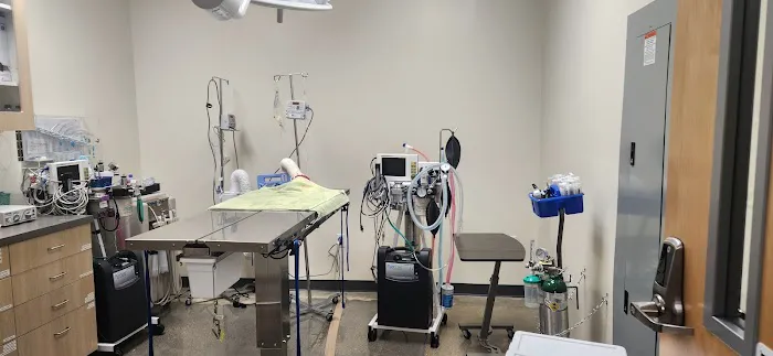 Vetco Total Care Animal Hospital Picture 2