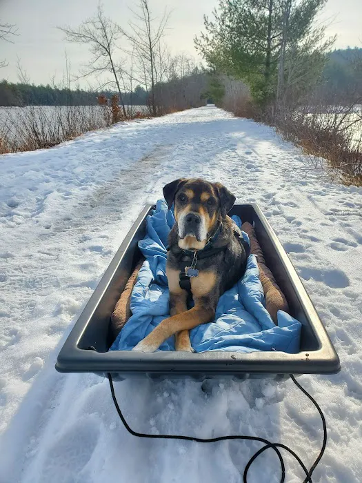 Holistic Pet Wellness Picture 1