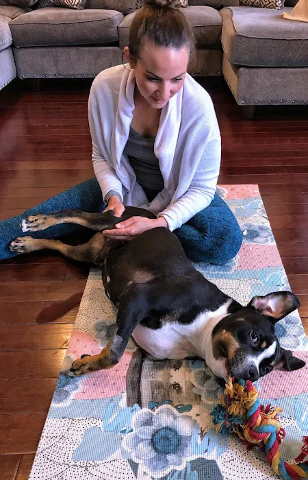 Holistic Pet Wellness Picture 10