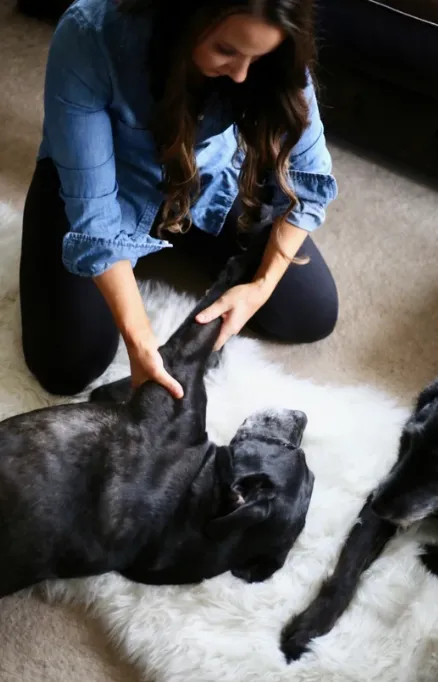 Holistic Pet Wellness Picture 9