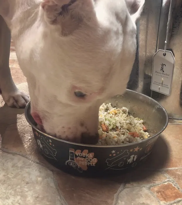 Holistic Pet Wellness Picture 3