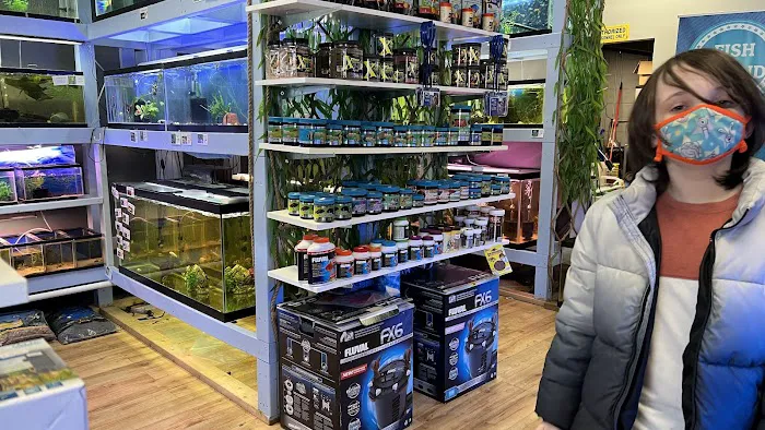 Fish Island Picture 2