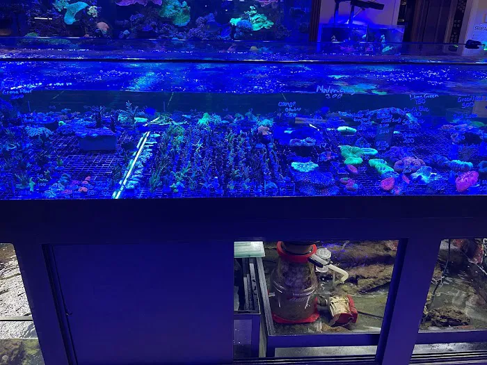 Fish Island Picture 8