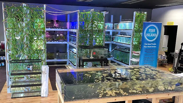 Fish Island Picture 3