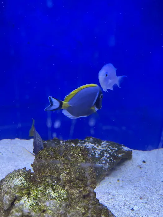 Fish Island Picture 6