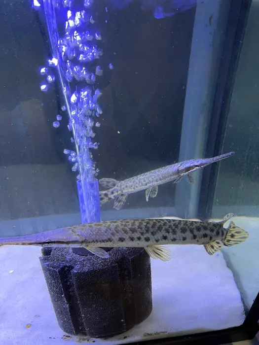 Fish Island Picture 7