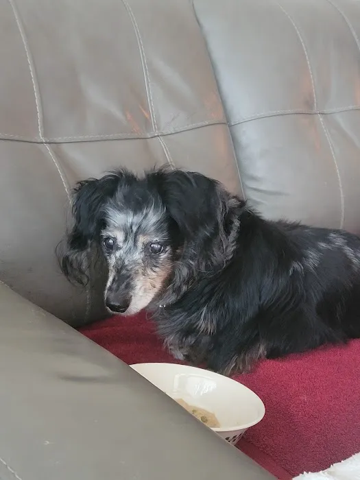 NorthPaws Veterinary Center Picture 1