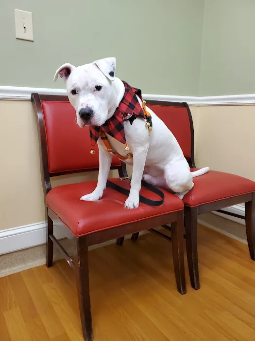 NorthPaws Veterinary Center Picture 5